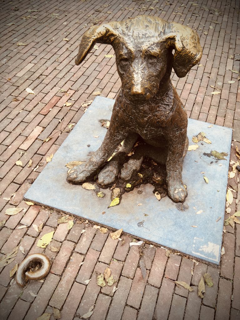 Rotterdam Daily Photo: The dog "Fikkie" patiently waiting since 1963