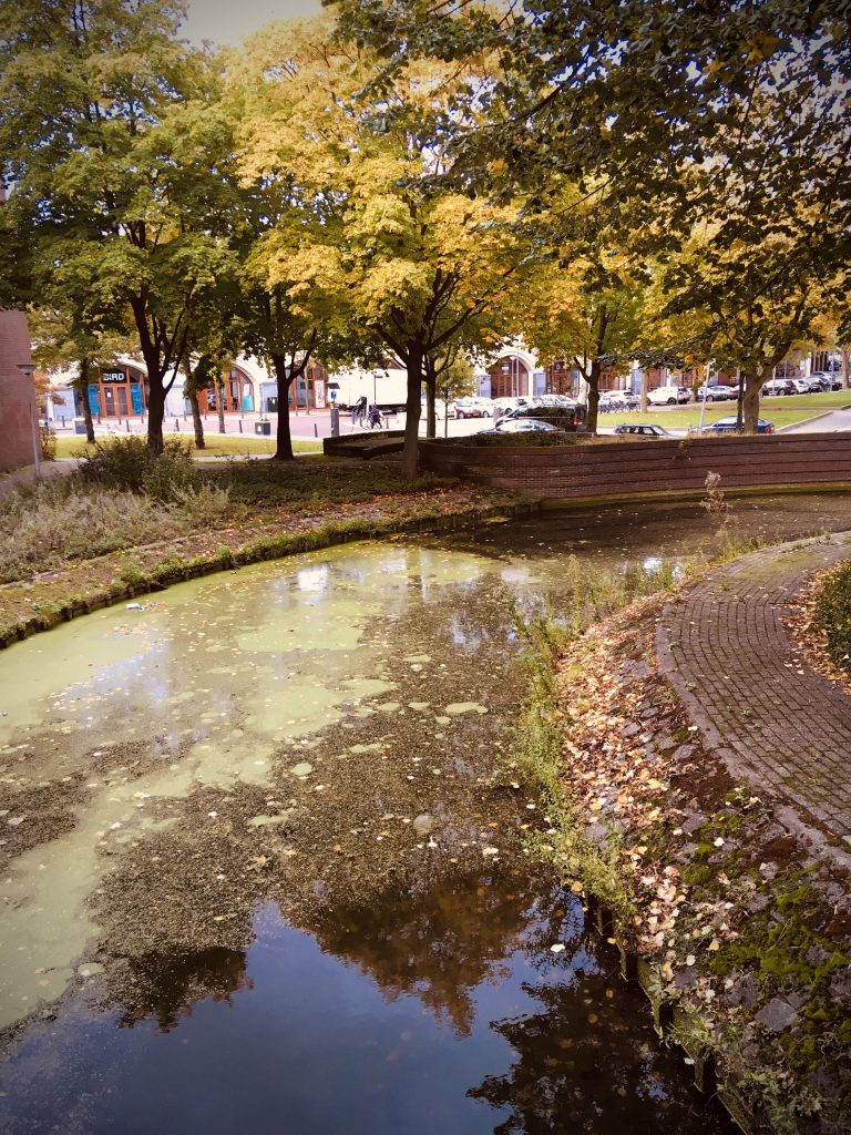 Rotterdam Daily Photo: Autumn light