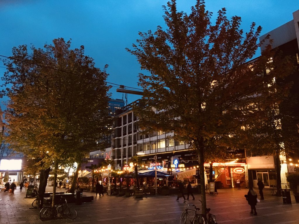 Rotterdam Daily Photo: Night on the town