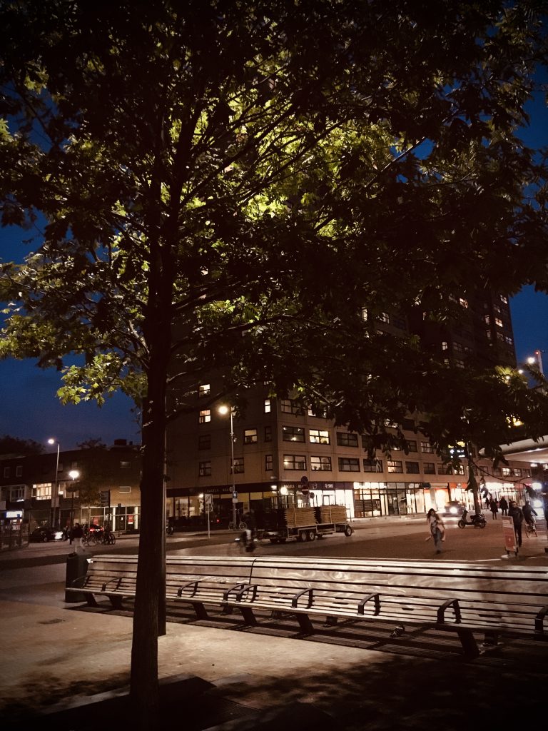 Rotterdam Daily Photo: Tree before books