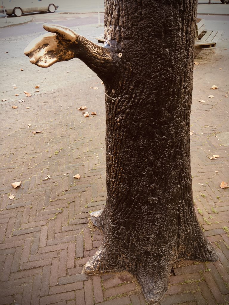 Rotterdam Daily Photo: This tree wants to shake your hand